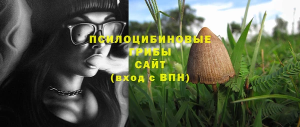 Альфа ПВП Магас