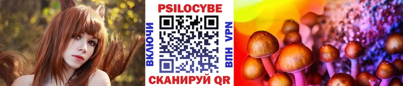 Псилоцибиновые грибы мицелий  Братск 