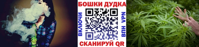 Марихуана семена  купить закладку  Братск 
